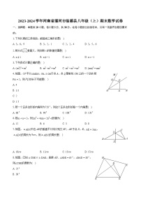 2023-2024学年河南省漯河市临颍县八年级（上）期末数学试卷(含详细答案解析)