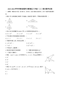 2023-2024学年河南省漯河市郾城区八年级（上）期末数学试卷(含详细答案解析)