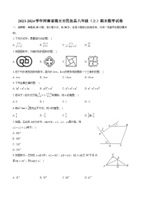 2023-2024学年河南省商丘市民权县八年级（上）期末数学试卷(含详细答案解析)