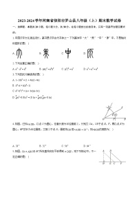 2023-2024学年河南省信阳市罗山县八年级（上）期末数学试卷(含详细答案解析)