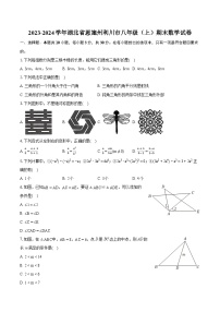 2023-2024学年湖北省恩施州利川市八年级（上）期末数学试卷(含详细答案解析)