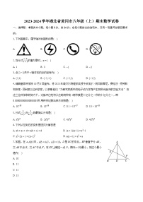 2023-2024学年湖北省黄冈市八年级（上）期末数学试卷(含详细答案解析)