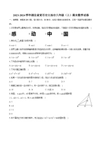 2023-2024学年湖北省黄石市大冶市八年级（上）期末数学试卷(含详细答案解析)