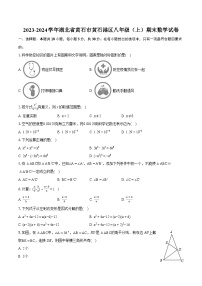 2023-2024学年湖北省黄石市黄石港区八年级（上）期末数学试卷(含详细答案解析)