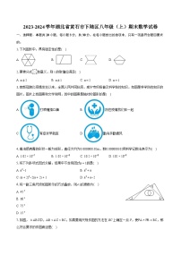 2023-2024学年湖北省黄石市下陆区八年级（上）期末数学试卷(含详细答案解析)