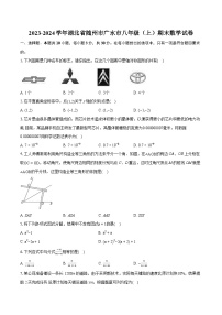 2023-2024学年湖北省随州市广水市八年级（上）期末数学试卷(含详细答案解析)