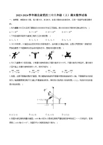 2023-2024学年湖北省武汉三中八年级（上）期末数学试卷(含详细答案解析)