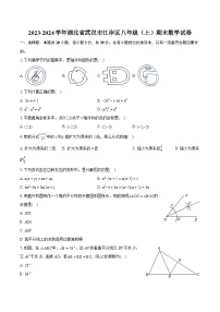 2023-2024学年湖北省武汉市江岸区八年级（上）期末数学试卷(含详细答案解析)