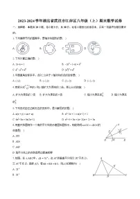 2023-2024学年湖北省武汉市江岸区八年级（上）期末数学试卷(含详细答案解析)