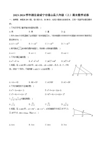 2023-2024学年湖北省咸宁市通山县八年级（上）期末数学试卷(含详细答案解析)