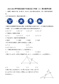 2023-2024学年湖北省咸宁市咸安区八年级（上）期末数学试卷(含详细答案解析)