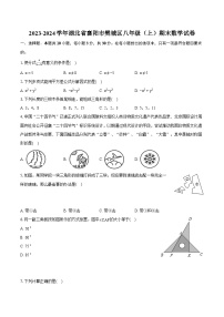 2023-2024学年湖北省襄阳市樊城区八年级（上）期末数学试卷(含详细答案解析)