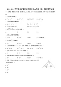 2023-2024学年湖北省襄阳市老河口市八年级（上）期末数学试卷(含详细答案解析)