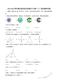 2023-2024学年湖北省宜昌市宜都市八年级（上）期末数学试卷(含详细答案解析)