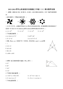 2023-2024学年山东省滨州市滨城区八年级（上）期末数学试卷(含详细答案解析)