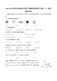 2023-2024学年山东省滨州市邹平市魏桥实验学校八年级（上）期末数学试卷(含详细答案解析)