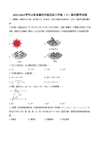 2023-2024学年山东省德州市临邑县八年级（上）期末数学试卷(含详细答案解析)