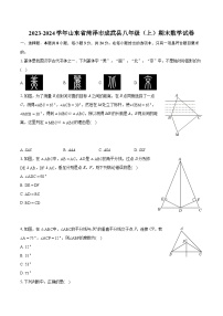 2023-2024学年山东省菏泽市成武县八年级（上）期末数学试卷(含详细答案解析)