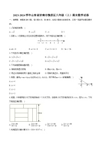 2023-2024学年山东省济南市槐荫区八年级（上）期末数学试卷(含详细答案解析)