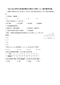 2023-2024学年山东省济南市天桥区八年级（上）期末数学试卷(含详细答案解析)