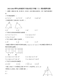 2023-2024学年山东省济宁市金乡县八年级（上）期末数学试卷(含详细答案解析)