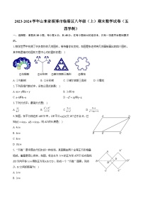 2023-2024学年山东省淄博市临淄区八年级（上）期末数学试卷（五四学制）(含详细答案解析)