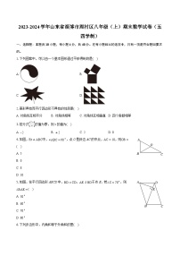 2023-2024学年山东省淄博市周村区八年级（上）期末数学试卷（五四学制）(含详细答案解析)