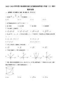 四川省成都市温江区冠城实验学校2022-2023学年八年级上学期期中数学试题（原卷版+解析版）