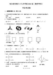 2023年黑龙江哈尔滨69中学中考三模数学试卷和答案