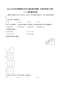 2023-2024学年湖南省长沙市开福区青竹湖湘一外国语学校九年级（上）期末数学试卷（含解析）