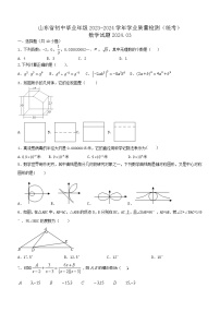 山东省2023-2024学年九年级下学期学业质量检测数学试题(含答案)