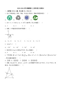 2023—2024学年湘教版数学八年级上册期中复习训练（无答案）