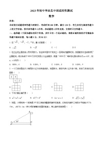 2023年河南省周口市沈丘县三校联考九年级中考三模数学模拟试题（原卷版+解析版）