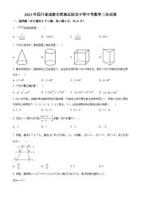 2023年四川省成都市武侯区棕北中学中考数学三模拟试题（原卷版+解析版）