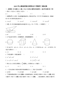 2023年云南省昭通市昭阳区中考数学二模模拟试题（原卷版+解析版）