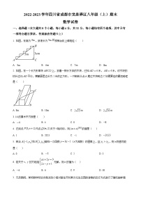 四川省成都市龙泉驿区2022-2023学年八年级上学期期末数学试题（原卷版+解析版）