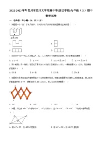 四川省成都市武侯区四川大学附属中学(西区学校)2022-2023学年九年级上学期期中数学试题（原卷版+解析版）