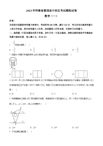 2023年河南省南阳市内乡县灵山雷锋学校中考一模数学模拟试题（原卷版+解析版）