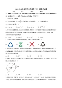 山东省枣庄市峄城区2023届九年级下学期中考一模数学试卷(含解析)