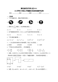 湖北省武汉市青山区2023-2024学年八年级上学期期末质量检测数学试卷(含答案)