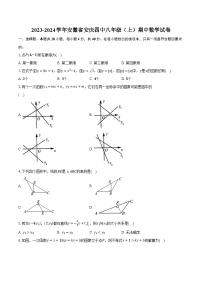 2023-2024学年安徽省安庆四中八年级（上）期中数学试卷（含解析）