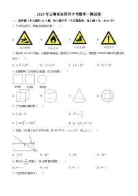 2023年云南省红河州中考数学一模模拟试题（原卷版+解析版）