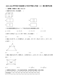 四川省成都市七中育才学校2023-2024学年九年级上学期期末数学试题（原卷版+解析版）