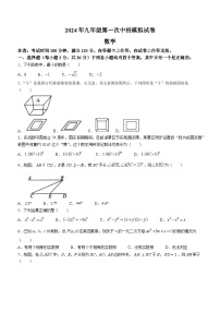 2024年河南省驻马店市西平县一模数学模拟试题