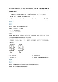 2022-2023学年辽宁省沈阳市法库县九年级上学期数学期末试题及答案