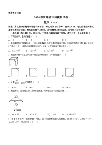 2024年河南省驻马店市遂平县中考一模数学模拟试题