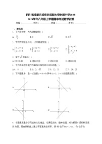四川省成都市成华区成都大学附属中学2023-2024学年八年级上学期期中考试数学试卷(含答案)