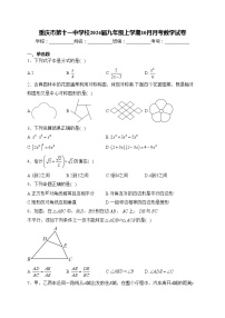 重庆市第十一中学校2024届九年级上学期10月月考数学试卷(含答案)