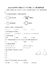 2023-2024学年广东省江门二中八年级（上）期中数学试卷(含解析）