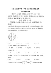 山东省枣庄市市中区2023-2024学年八年级上学期12月月考数学试卷(含解析)